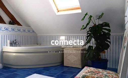 St Georges Sur Cher Authentic Manor On A Park With Enclosure Walls