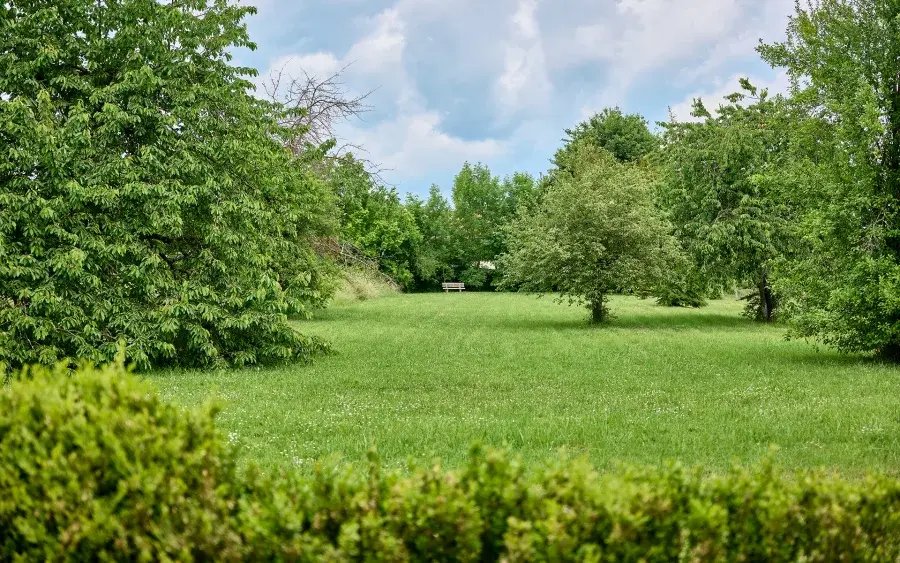 Whispers of 1771: A Bourgogne Château’s Timeless Embrace