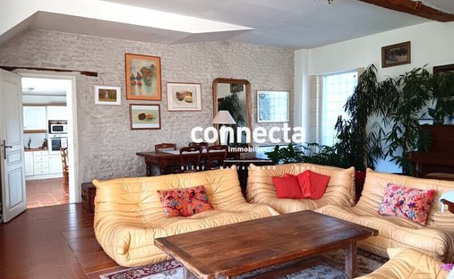 St Georges Sur Cher Authentic Manor On A Park With Enclosure Walls