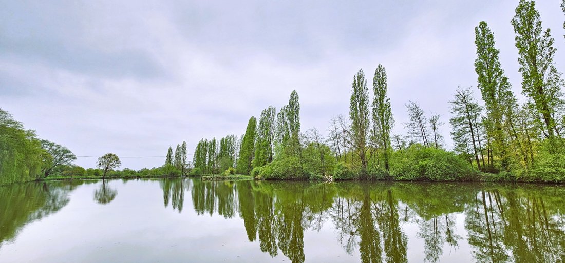 Estate in Loches, Centre-Val de Loire, France 5 - 16013522