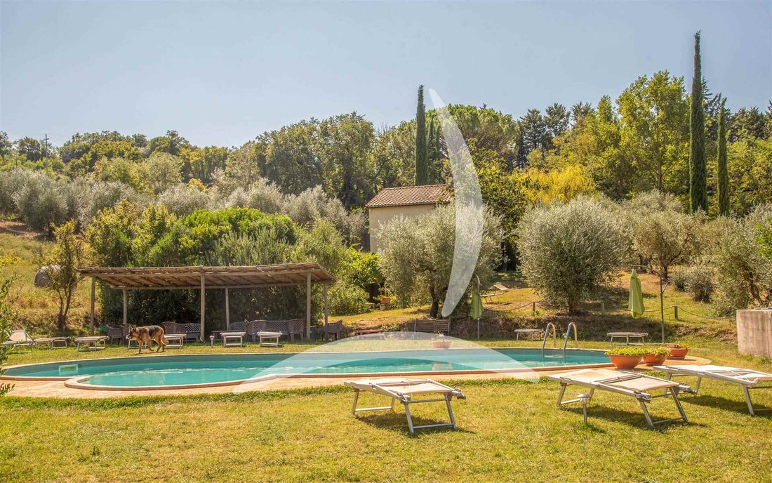 Cinigiano, Tuscany, Italy 4 - 16015241