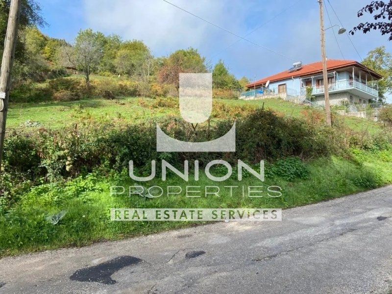 Land in Metsovo, Epirus and Western Macedonia, Greece 4 - 16005566