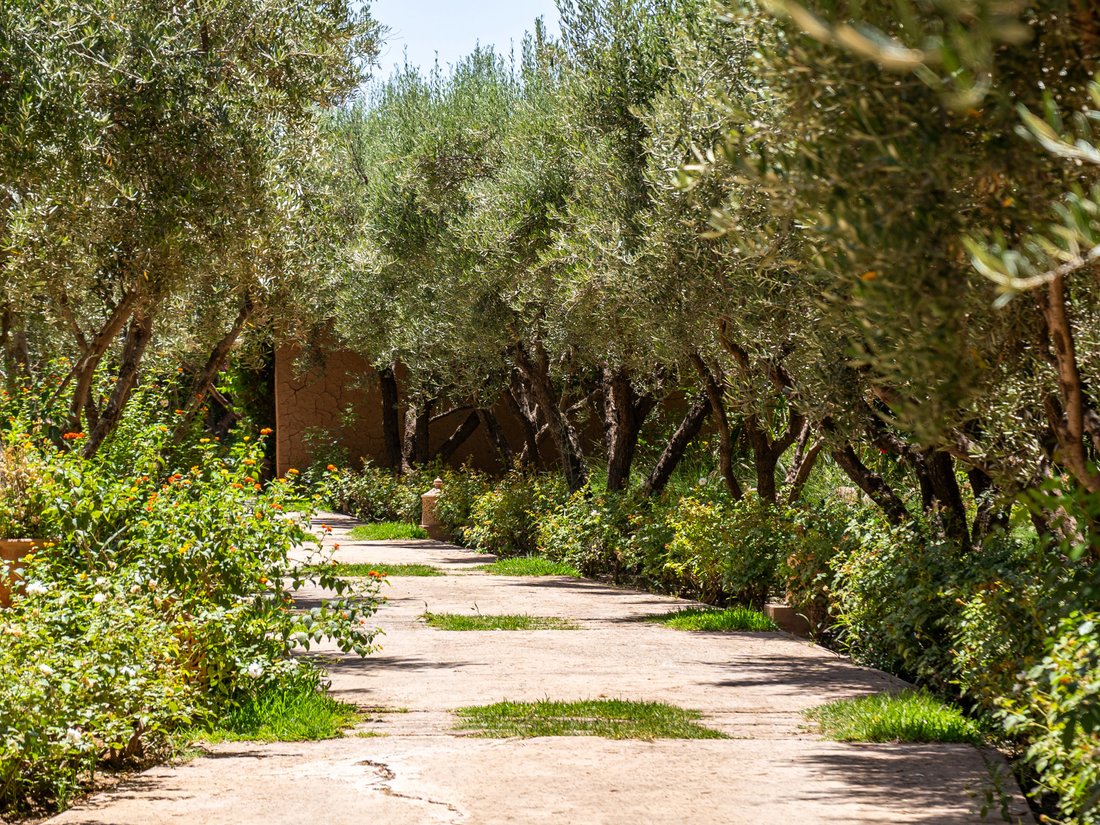 Haus in Medina, Marrakesch-Safi, Marokko 5 - 16014013