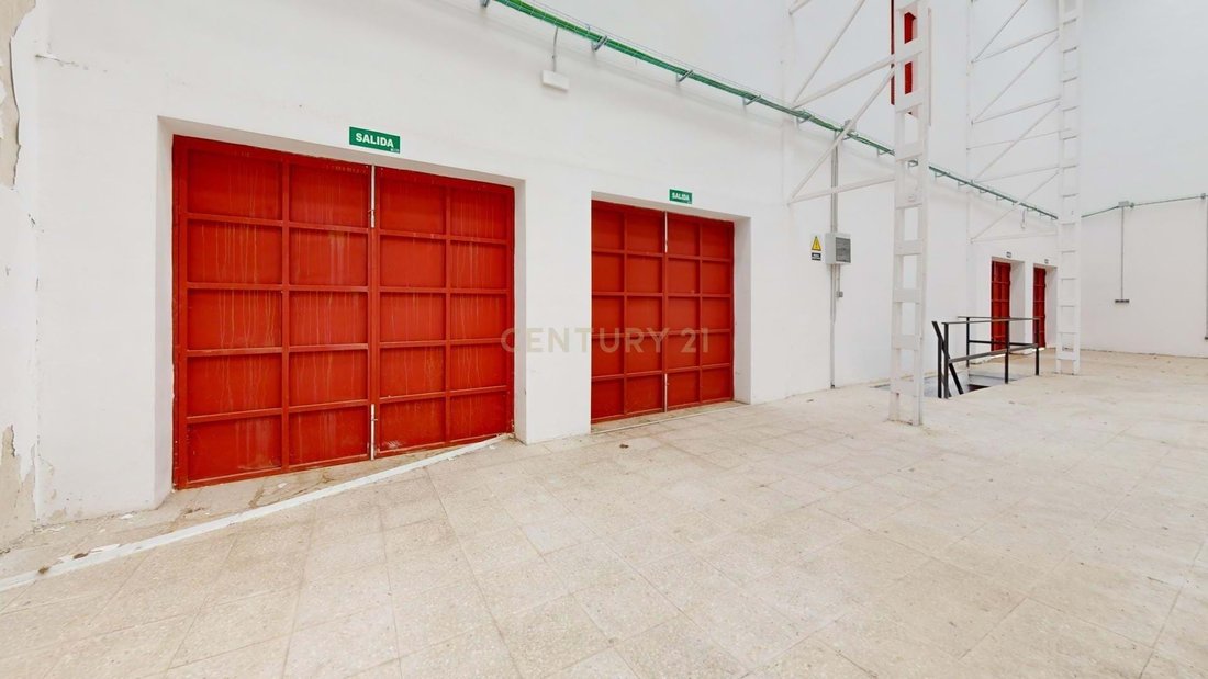Torrejon de Ardoz, Comunidad de Madrid, Spain 4 - 14691459