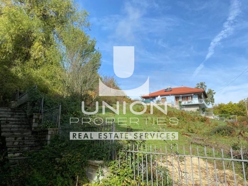 Land in Metsovo, Epirus and Western Macedonia, Greece 2 - 16005566