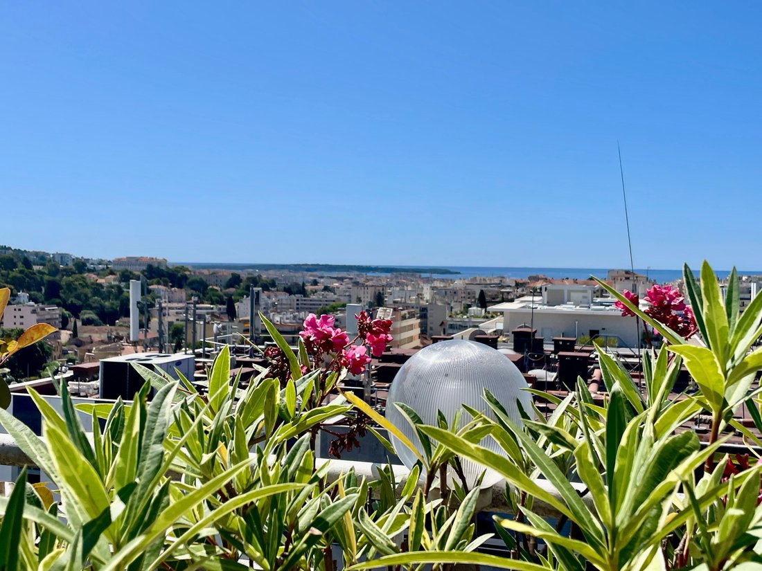 Apartment in Maurice Jeanpierre, Le Cannet, France 1 - 16012387
