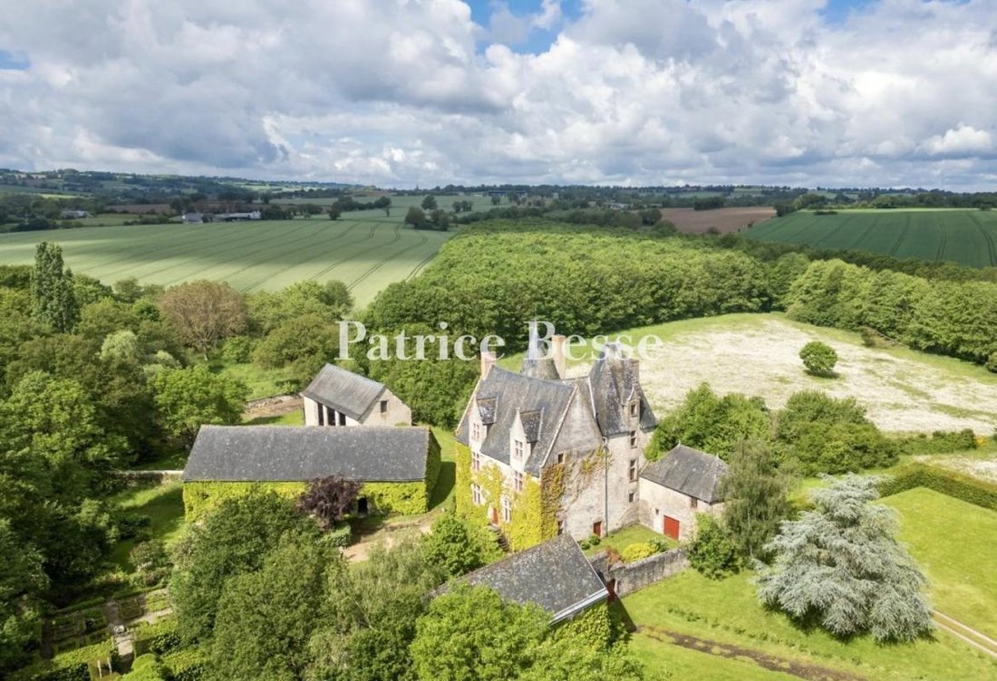 House in Sillé-le-Guillaume, Pays de la Loire, France 1 - 14358499