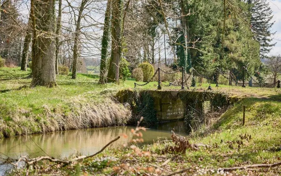Château d’Andelarre: A Whisper of Royalty in Burgundy’s Embrace