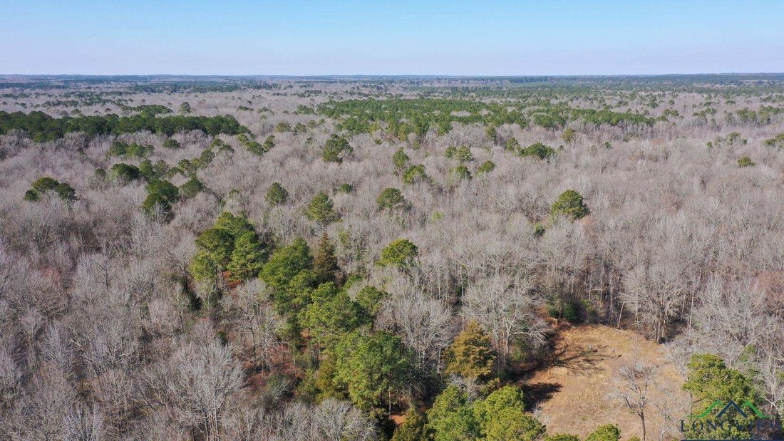 Land in Bivins, Texas, United States 1 - 15161839