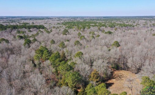 Land in Bivins, Texas, United States 1