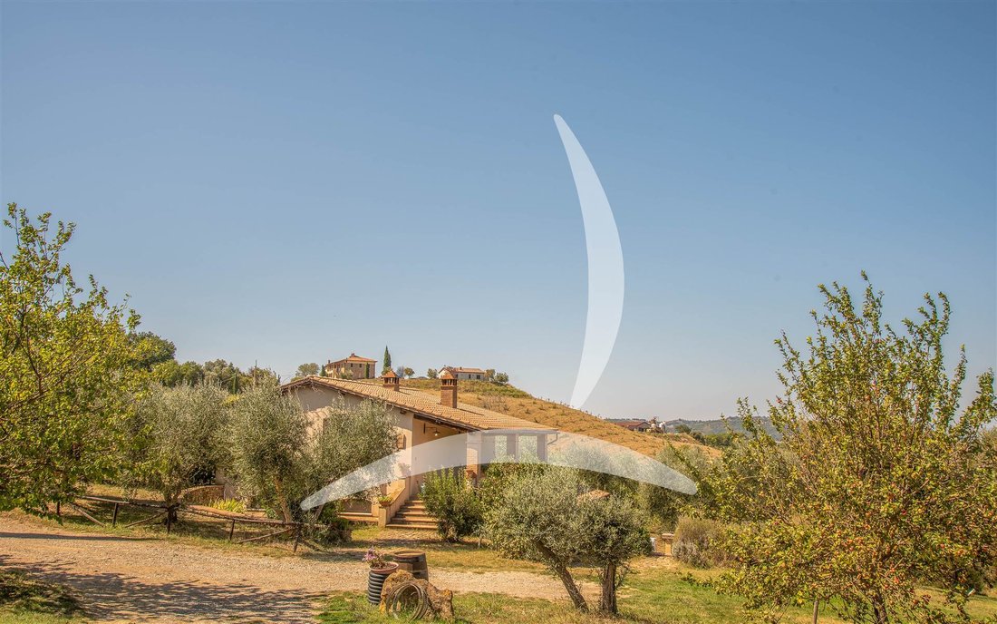 Cinigiano, Tuscany, Italy 5 - 16015241