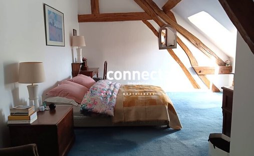 St Georges Sur Cher Authentic Manor On A Park With Enclosure Walls