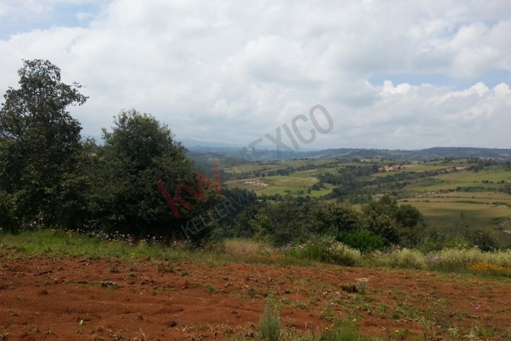 Land in Quinto Barrio, State of Mexico, Mexico 2 - 16016662