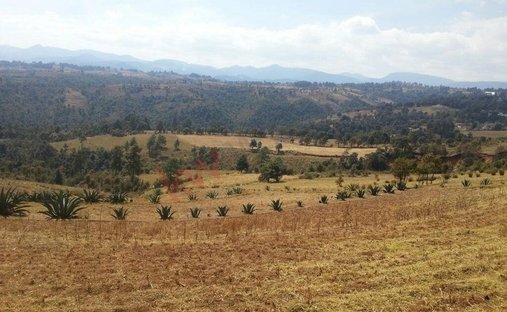 Land in Veintidós de Febrero, State of Mexico, Mexico 1