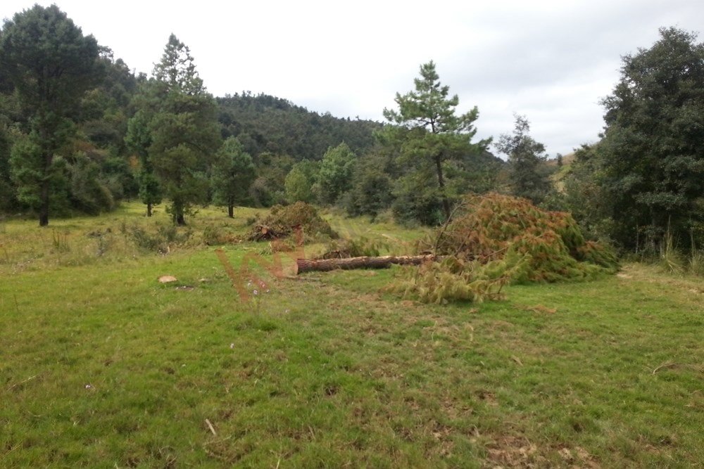Land in Quinto Barrio, State of Mexico, Mexico 1 - 16016662