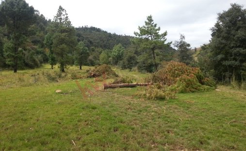 Land in Quinto Barrio, State of Mexico, Mexico 1