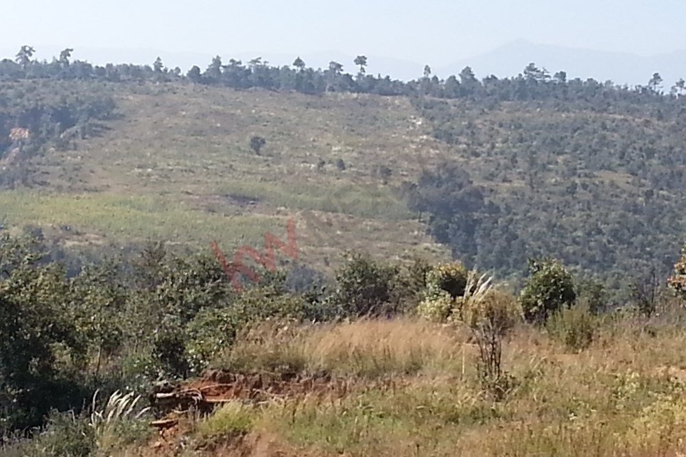 Land in Quinto Barrio, State of Mexico, Mexico 5 - 16016662