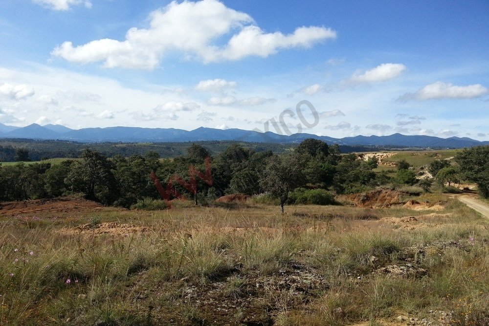 Land in Quinto Barrio, State of Mexico, Mexico 3 - 16016662