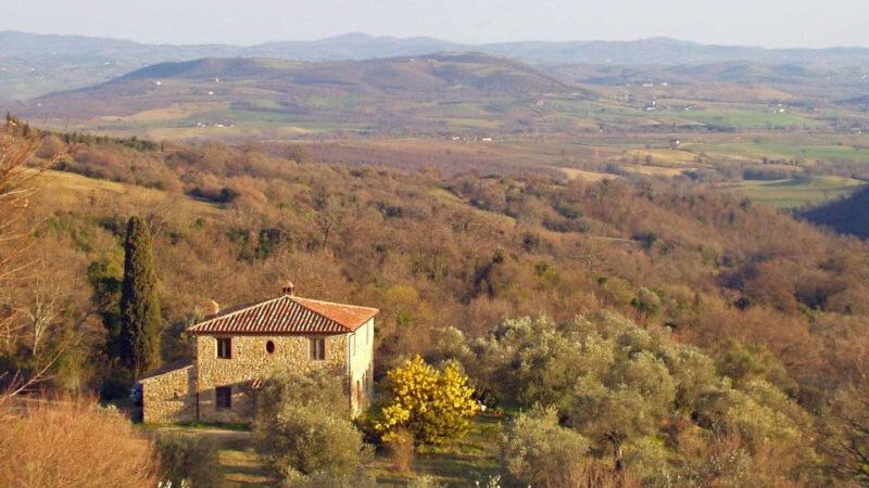 Country House in Scansano, Tuscany, Italy 4 - 15829621