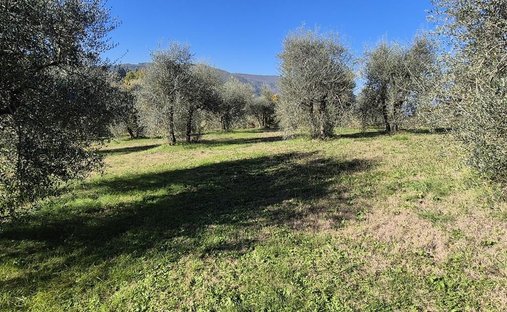 Tuscany| Historic Tuscan Castle With Land For Sale Near Florence