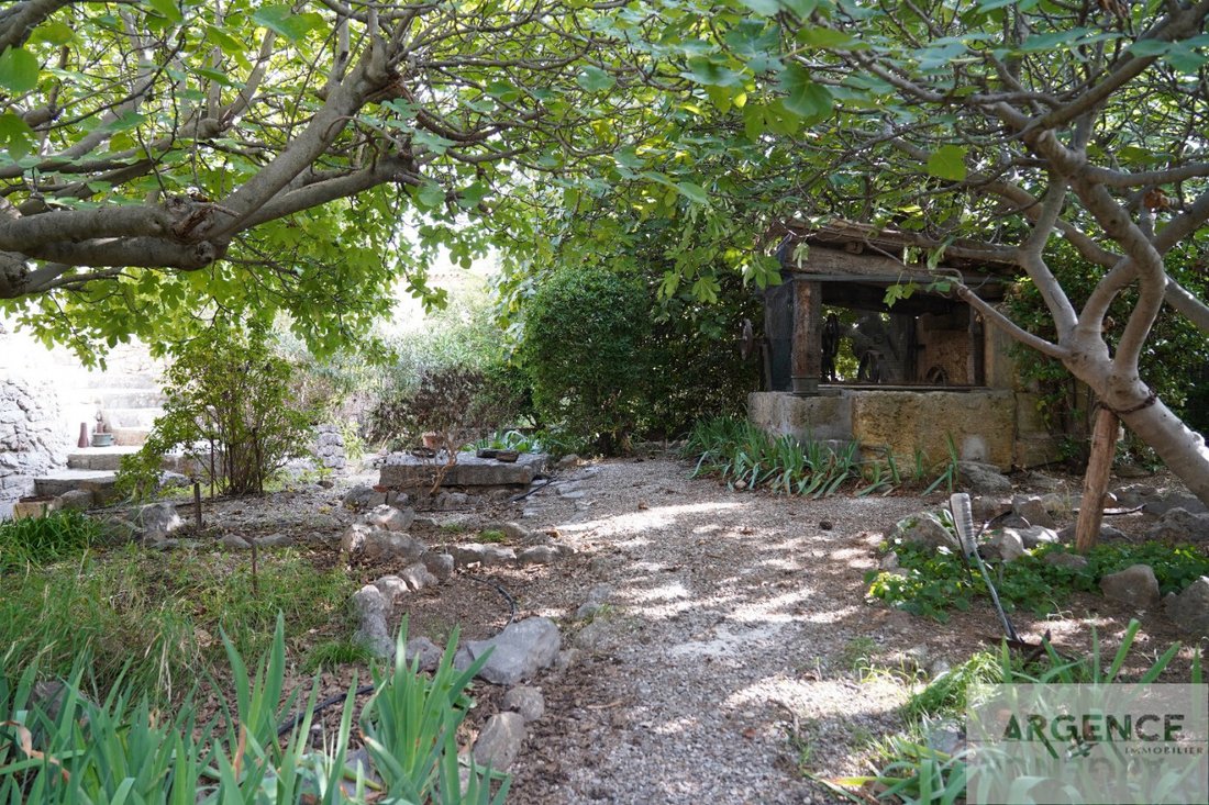 A 12th-Century Lord’s Dream: Where Vineyards Meet the Sea in Occitanie - 5