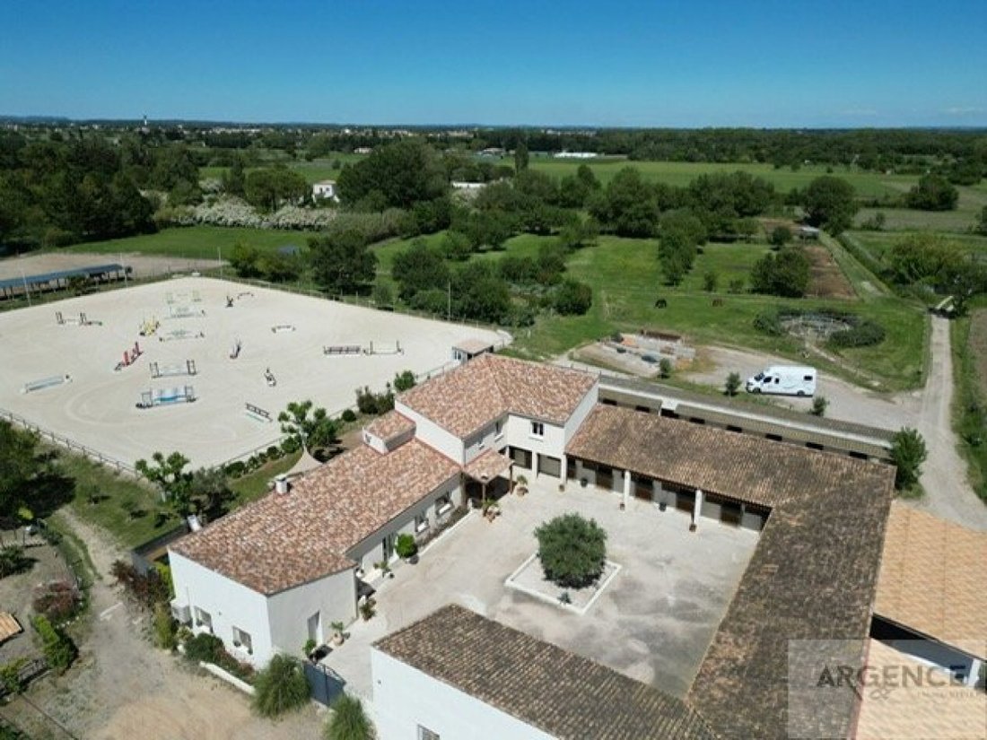 Château des Crinières: Where Equestrian Dreams Gallop Across Occitanie’s Golden Plains