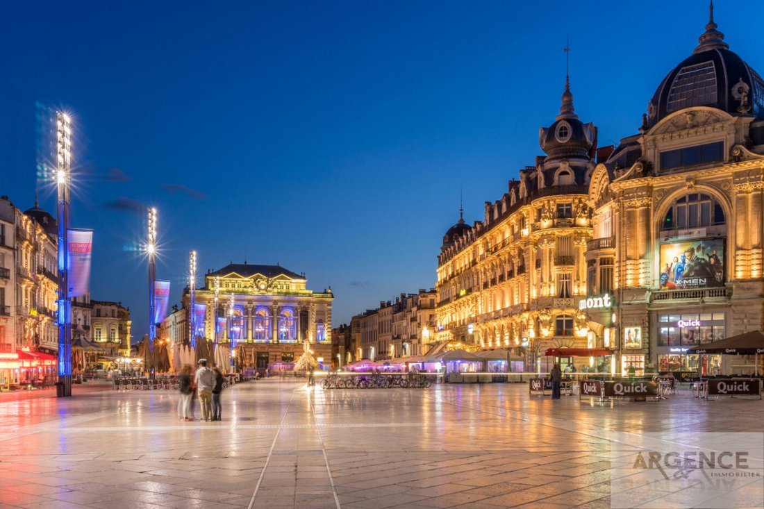 Apartment in Centre Historique, Montpellier, France 1 - 16012987