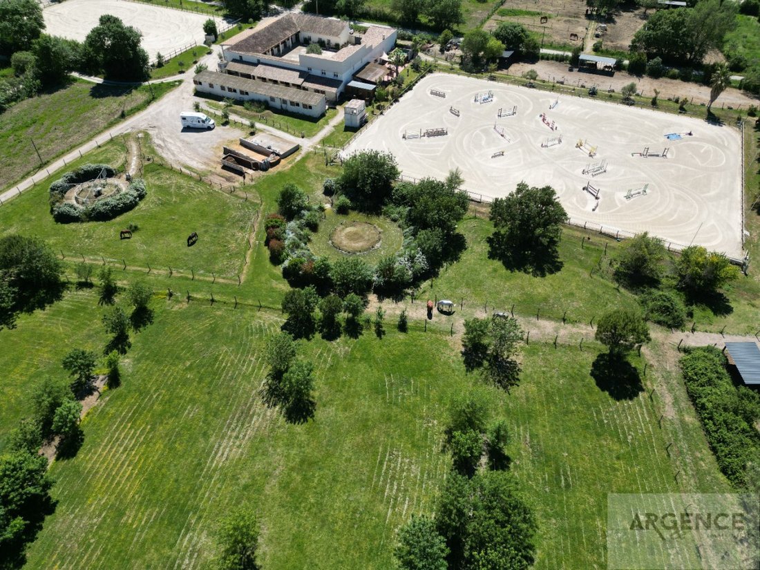 Château des Crinières: Where Equestrian Dreams Gallop Across Occitanie’s Golden Plains