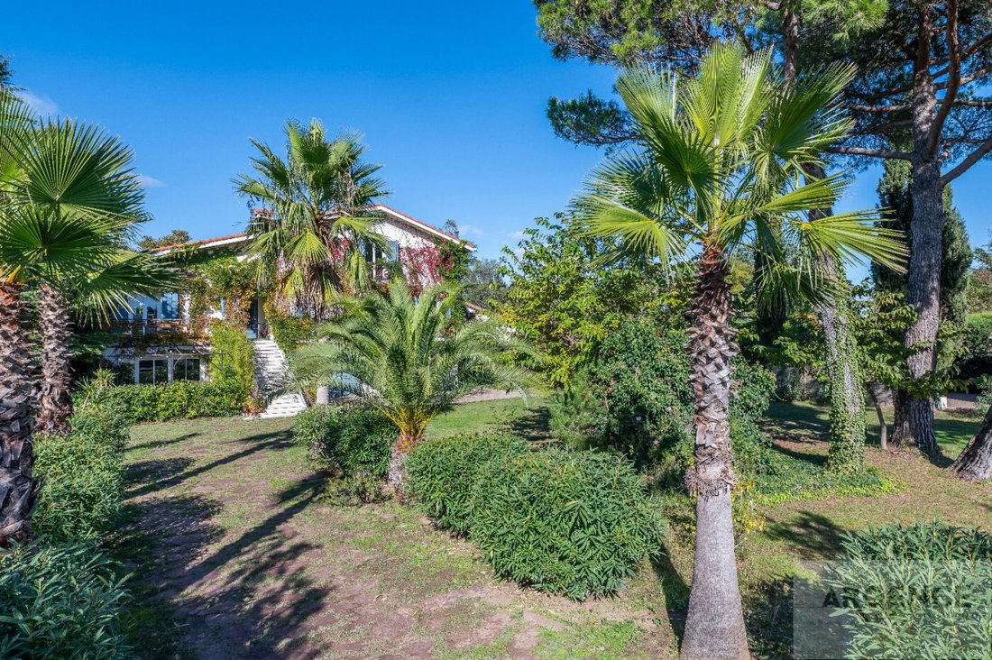 Estate in Castelnau-le-Lez, Occitania, France 4 - 16012807