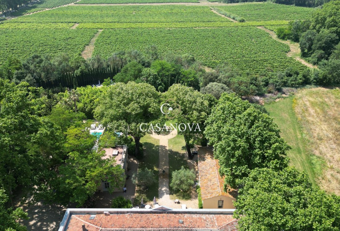 Château des Rêves: A 1750 Vineyard Crown Between Sea & Montpellier’s Golden Light - 5