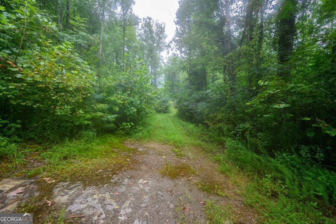 Land in Lakemont, Georgia, United States 4 - 16018925