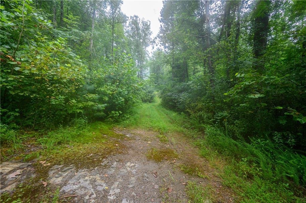 Land in Lakemont, Georgia, United States 4 - 16018924