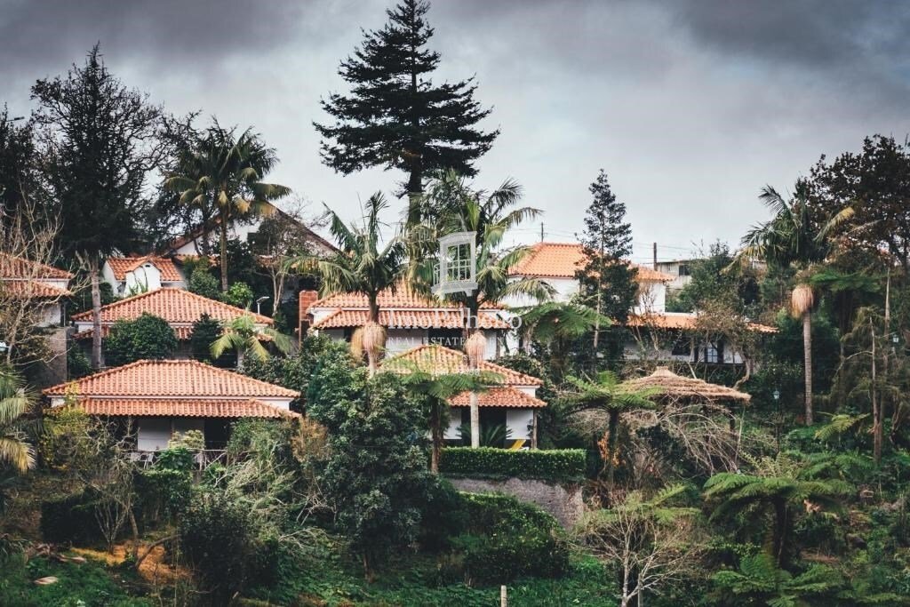 Santana, Madeira, Portugal 2 - 16018219