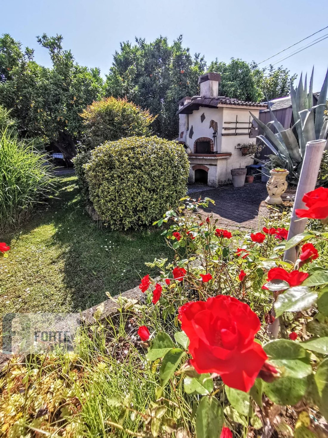 Haus in Marina Verde - Renella, Montignoso, Toskana 5 - 16018951