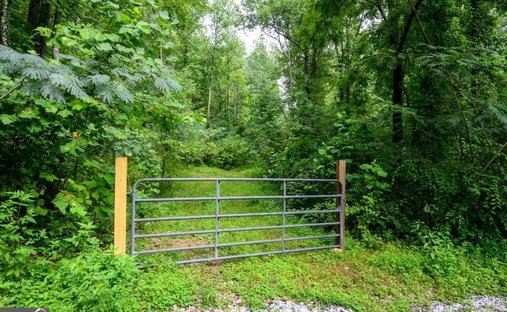 Land in Lakemont, Georgia, United States 1