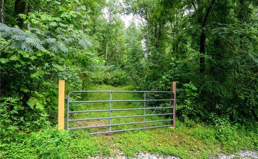 Land in Lakemont, Georgia, United States 1