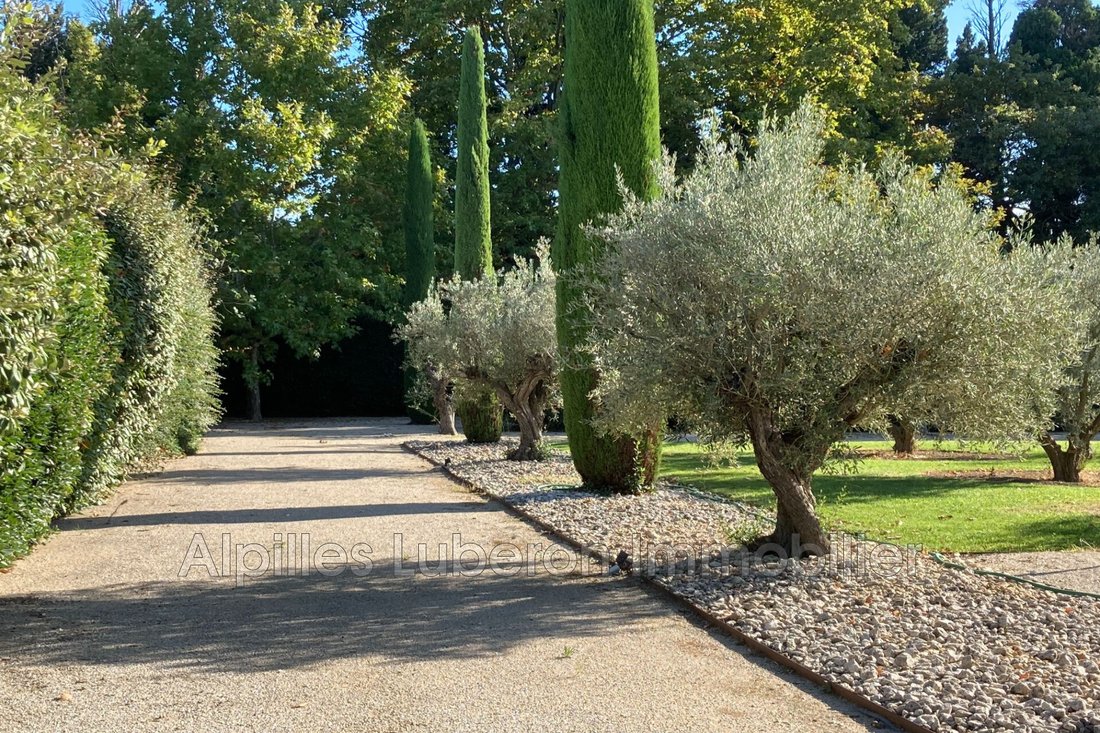 Villa in Saint-Rémy-de-Provence, Provence-Alpes-Côte d'Azur, France 4 - 12706616