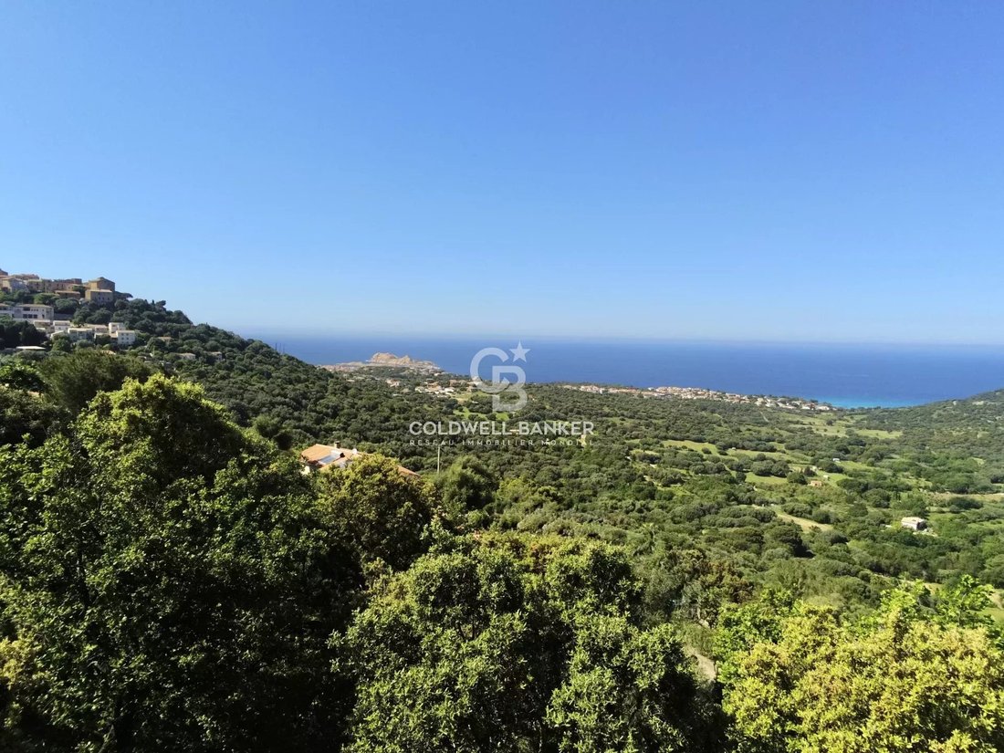 Land in Monticello, Corsica, France 1 - 16017654