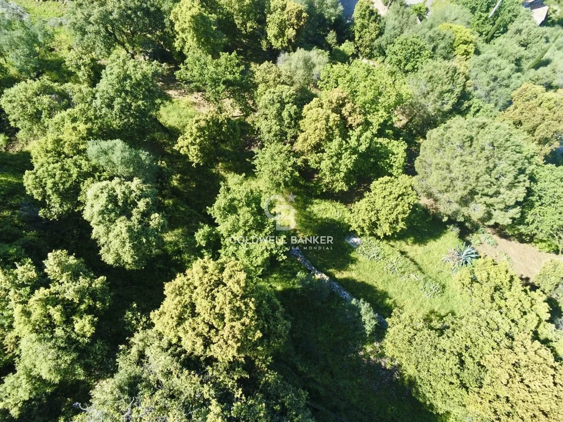 Land in Monticello, Corsica, France 2 - 16017654
