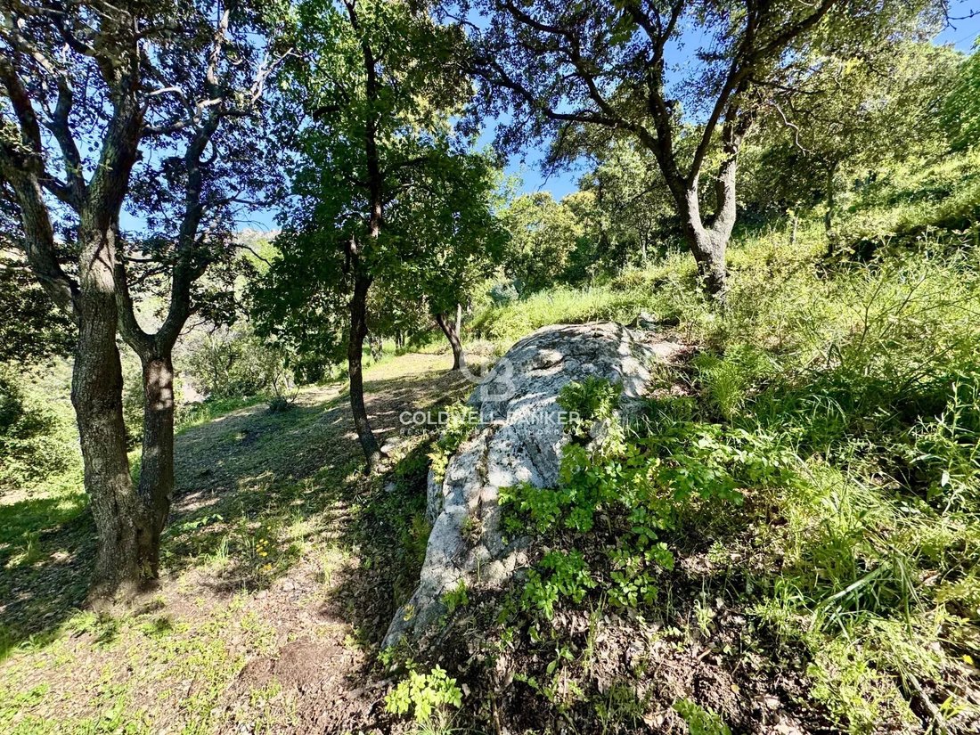 Land in Monticello, Corsica, France 3 - 16017654