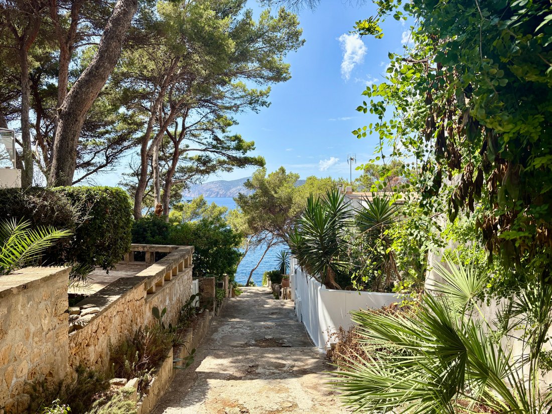 Apartment in Santa Ponsa, Balearic Islands, Spain 5 - 16017530