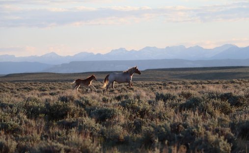 Casa a Boulder, Wyoming, Stati Uniti 1