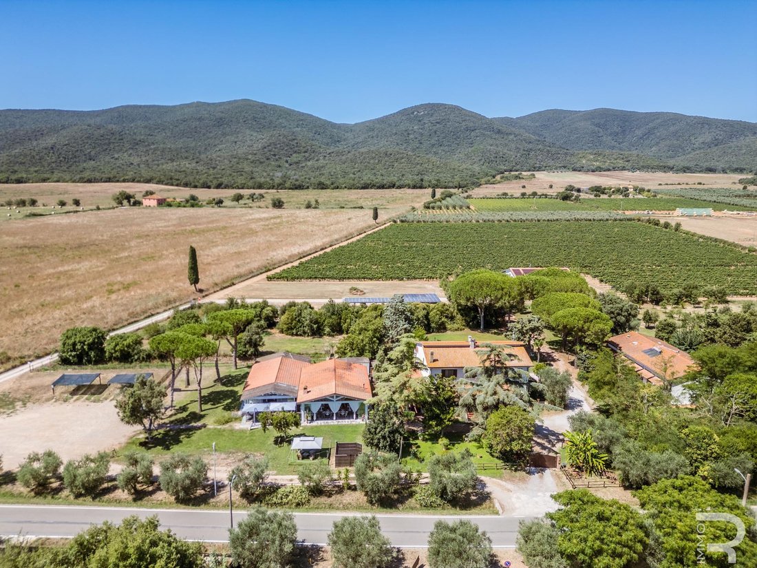 Farm Ranch in Center, Grosseto, Tuscany 3 - 16020149