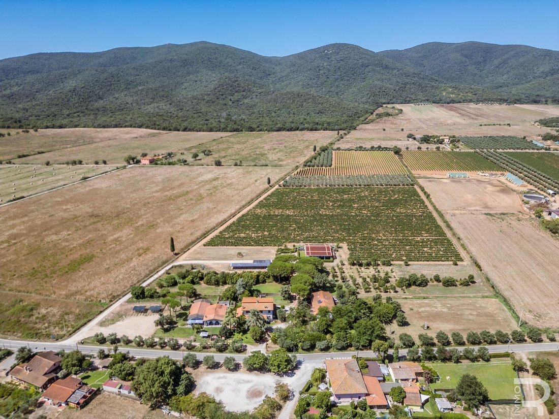 Farm Ranch in Center, Grosseto, Tuscany 4 - 16020149