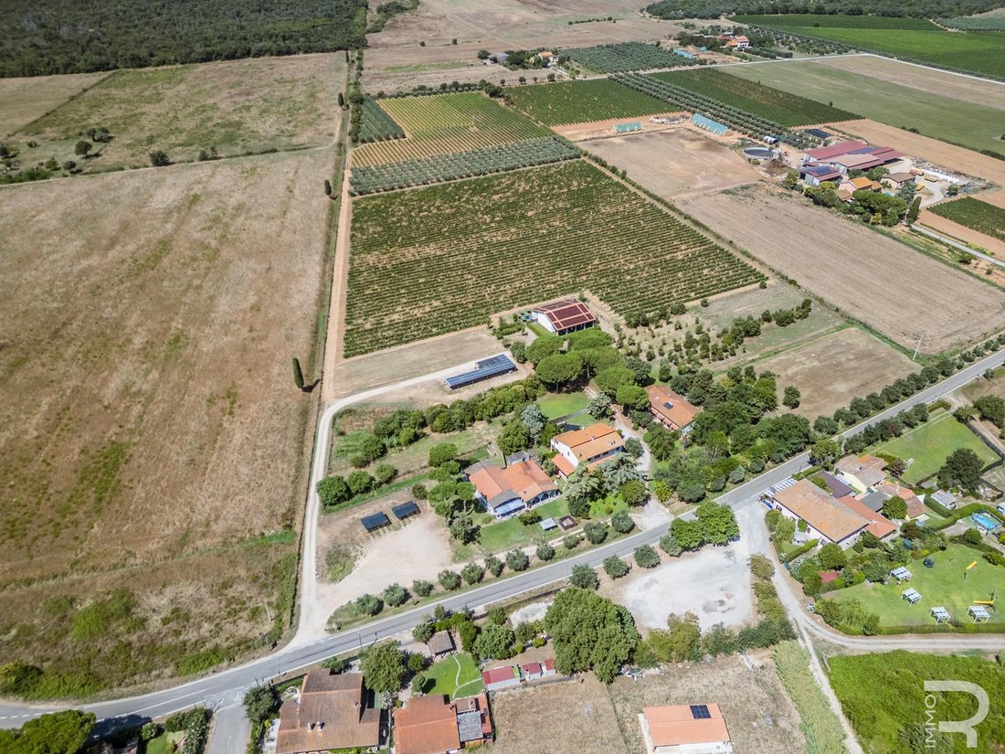 Farm Ranch in Center, Grosseto, Tuscany 5 - 16020149