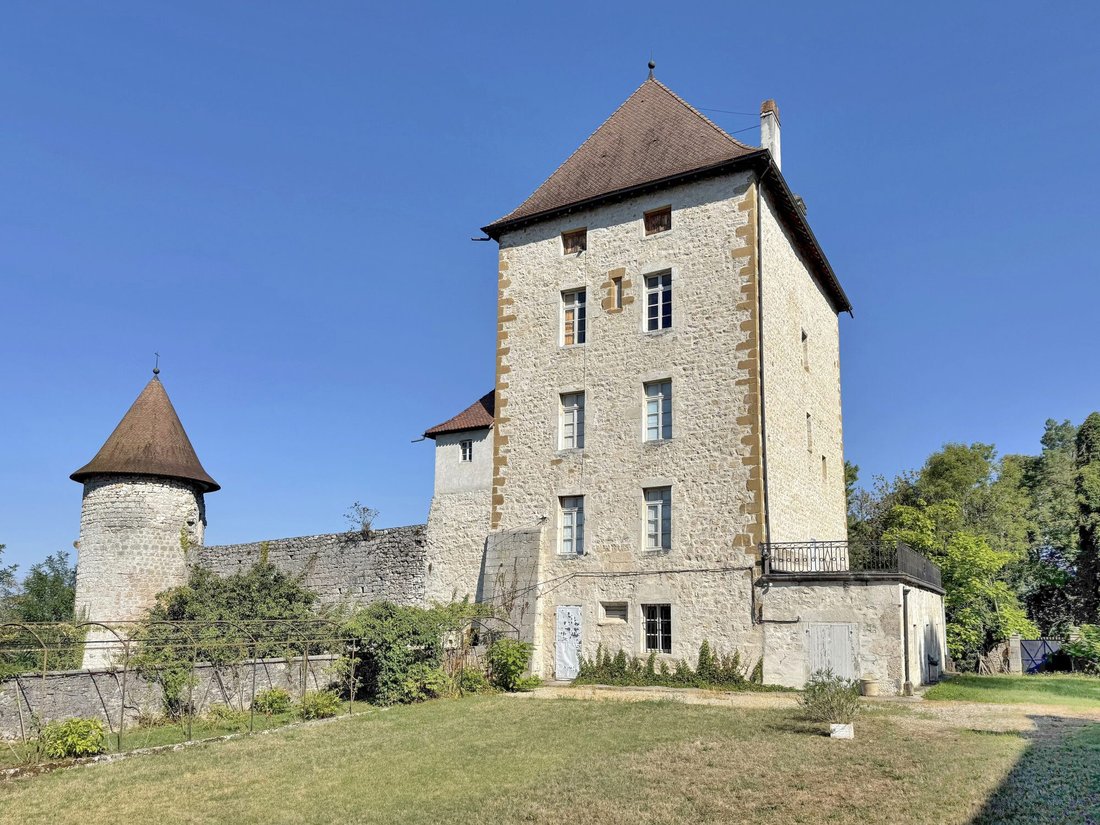 Image 1: Chateau in Brégnier-Cordon, Auvergne-Rhône-Alpes, France 1 - 16020974