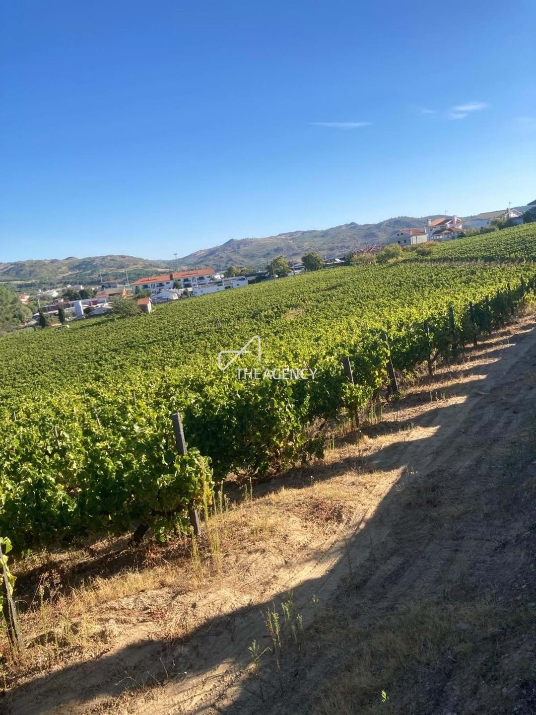Land in Alijó, Vila Real District, Portugal 1 - 16021305