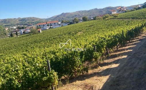 Land in Favaios, Vila Real District, Portugal 1