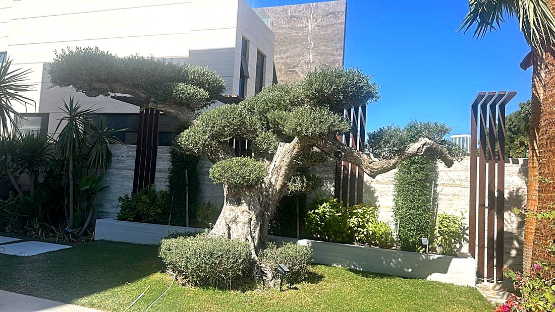 Villa in Nad Al Sheba 1, Nad Al Sheba, Dubai 4 - 15935789
