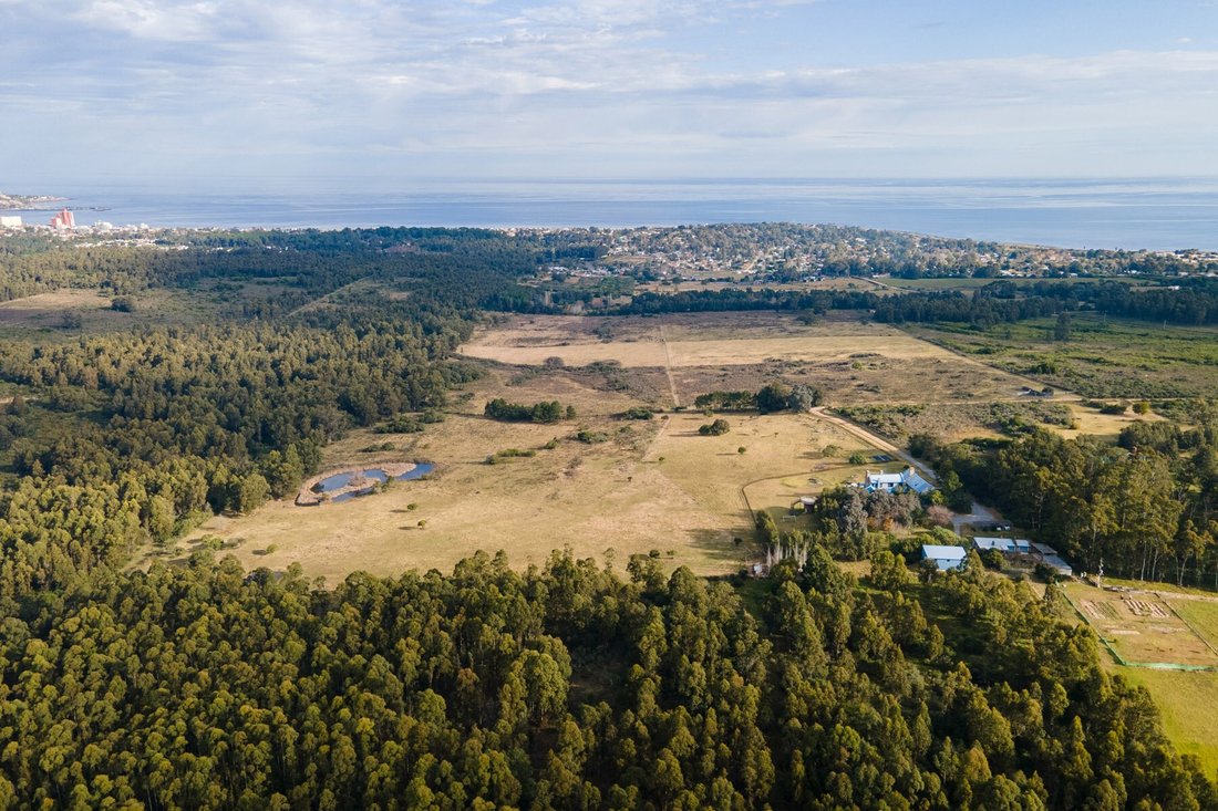Farm Ranch in Punta del Este, Maldonado Department, Uruguay 1 - 16021395